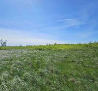 Agricultural and forest lands in Zemplínske Kopčany with grassy areas and a blue sky.