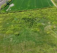Agricultural and forest land in Zemplínske Kopčany, with diverse vegetation and a dirt road.