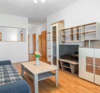 Living room in a two-room apartment with a sofa, table, and television.