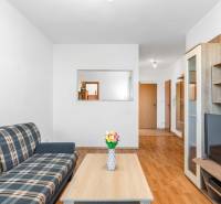 Living room in a two-room apartment with a sofa, coffee table, and floral accessory.