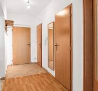 Entrance hall in a 2-room apartment with wooden doors and a mirror on the wall.