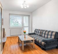 Living room in a two-room apartment with a sofa, coffee table, and shelves.