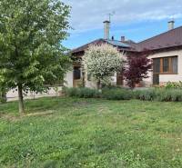 A family house in Malacky with a blooming garden and lawn, a tree and bushes in front of the house.