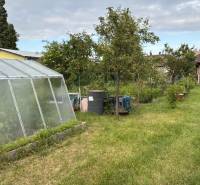A garden at a family house in Malacky with a greenhouse and fruit trees.
