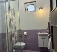Bathroom with tiles in a family house, shower, sink, toilet.