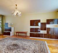 Living room in a family house with wooden flooring, a carpet, and a houseplant.