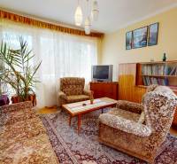 Living room in a family house with retro furniture and a plant.