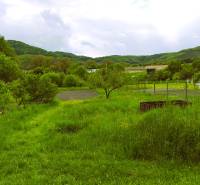 A garden at a family house in Čelovce with a lawn and surrounded by greenery.