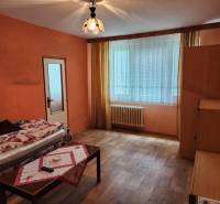 Living room in a studio apartment with a sofa, table, and a window with a radiator.