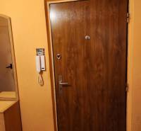 Wooden entrance door in a one-room apartment, next to it is an intercom and a wardrobe.