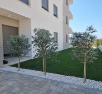 Exterior of a 4-room apartment in Vodice, elegant garden with trees and lawn.