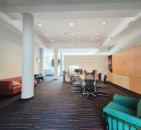 Office space with a large table, chairs, sofas, cabinets, and carpeted floor.