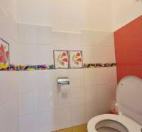 A restroom with colorful tiles and a floral pattern in commercial premises.