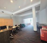 Office spaces with workstations, a sofa, and cabinets under the ceiling.