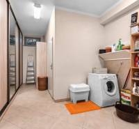 Laundry room in a family house with a washing machine, shelves for cleaning products, and storage space.