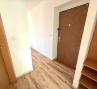 A hallway with a wooden floor and doors in the entrance area of a 2-room apartment.
