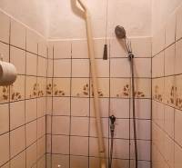 A small bathroom in a cottage with a toilet, tiles, and a wooden ceiling.