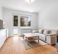 Living room in a two-room apartment with a wooden decor floor and a comfortable sofa.