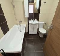 A bathroom in a 2-room apartment with a shower bath and toilet, decorated in dark and light tiles.