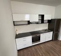 A kitchen in a 2-room apartment with white cabinets, a black countertop, and stainless steel appliances.