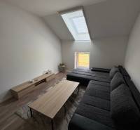 A living room in a two-room apartment with a sofa under a skylight and a coffee table.