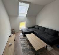 Living room in a two-room apartment with a sofa and a skylight.