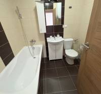 The bathroom in a 2-room apartment includes a bathtub, a sink, a toilet, and a mirror.