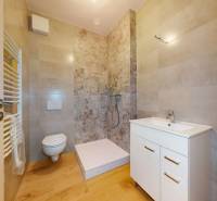 A bathroom in a 3-room apartment with a toilet, shower, and sink.
