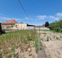 A garden behind a family house on Písniky Street in Malacky with lush vegetation and fencing.