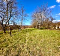 Spring landscape with lawn and trees during house construction in Moravské Lieskové.