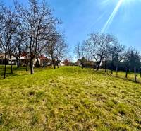 Grassy land with fruit trees and houses in the background, Moravské Lieskové, construction of houses.