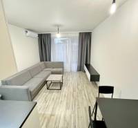 Living room in a studio apartment with a corner sofa and a dining table.