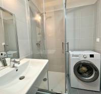 Bathroom with a sink, shower, and washing machine in a studio apartment.