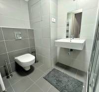 Bathroom in a studio apartment with a shower, sink, and wall-mounted toilet.