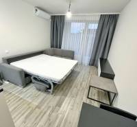1-bedroom apartment with a sofa bed, air conditioning, and curtains on large windows.