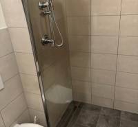 Bathroom with shower and toilet in a 3-room apartment.