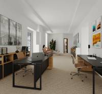 Commercial spaces with modern furniture, wall decorations, and large windows.