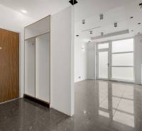 Commercial premises with entrance wooden doors, a cabinet, and large glass doors.