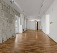 Interior of commercial spaces with wooden flooring and textured wall.