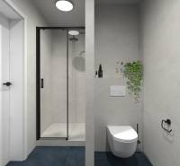 Bathroom in a 2-room apartment with a shower, toilet, and a plant on the wall.