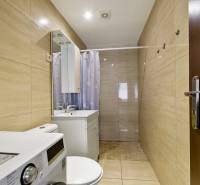 Bathroom in a 2-room apartment with a washing machine, mirror, and shower curtain.