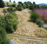 A meadow with grass and trees on a residential plot in Banská Štiavnica, SNP Street.
