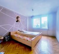 A bedroom in a 3-room apartment with wooden flooring and striking wall decoration.