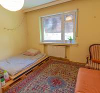 A room with a sofa, a pallet bed, a carpet, and houseplants in a 4-room apartment.