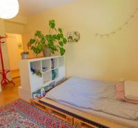 Bedroom in a 4-room apartment with a pallet bed, carpet, shelves, and plants.