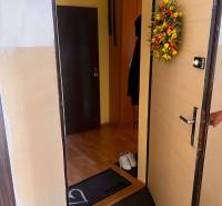 The entrance hall in a 3-room apartment shows open doors and wall decoration.