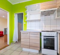 A bright kitchen in a one-room apartment with green walls and wooden cabinets.