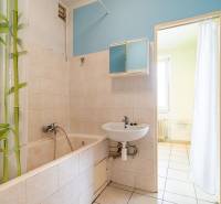 A bathroom in a studio apartment with a bathtub, a sink, and a curtain with a bamboo motif.