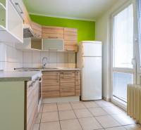A kitchen in a studio apartment with wooden cabinets, a green wall, and a spacious area.