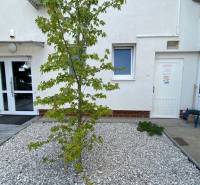 Entrance to commercial premises with a white facade and a small tree in the foreground.